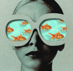 mxjfiles-goldfish-23558_256